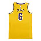 Nike Lakers Icon Edition Swingman Jersey James