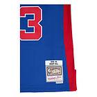 Mitchell & Ness Pistons Road 1995-96 Grant Hil