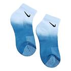 Nike Everyday Plus Cushioned Ankle