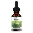 Swanson GINKGO BILOBA EKSTRAKT 250mg/ml-29,6 ml