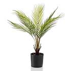 vidaXL Emerald Konstväxt Chamaedorea Palm i kruka 50 cm 444644