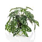 vidaXL Emerald Konstväxt monstera Monkey Bush i kruka 55 cm 444638