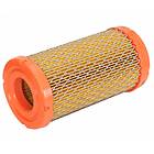 Briggs & Stratton 793569 Filter-air cleaner cartridge