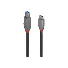 Lindy 36667 USB-kabel 2 m USB 3,2 Gen 1 (3,1 Gen 1) USB C USB B Sort