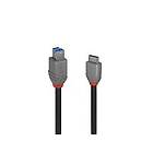 Lindy 36668 USB-kabel 3 m USB 3.2 Gen 1 (3.1 Gen 1) USB C USB B Sort