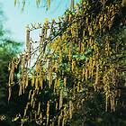 Omnia Garden Hassel, 150-200 cm
