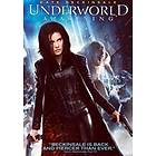 Underworld: Awakening (US) (DVD)