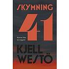 Skymning 41