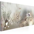 Artgeist Morning Song bild flerfärgat tryck, 3 storlekar 150x50