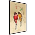 Artgeist PLAKAT Ornithologist's Drawings Svart