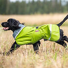 Pomppa Sade Regntäcke Hund Grön (34 cm)