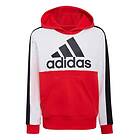 Adidas Colorblock Fleece Hoodie (Jr)