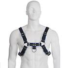 Bulldog Leather body chest harness black/blue leather