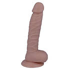 Mr intense 19 realistic cock 20 -o- 3,1cm