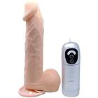 Caesar treasure realistic dildo updown function