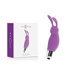 Rabbit Intense roger purple