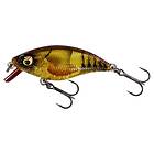 Westin Buzzbite SR Crankbait 4cm 4g Low Floating Clear Brown Craw