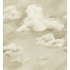 Harlequin Air Golden Light HC4W113002