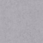 Caselio Beton Uni Gris Fonce BET101489134