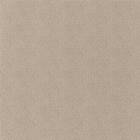 Caselio Uni Natte Cafe Au Lait NAE101561904