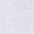 Caselio Beton Uni Gris Moyen Nacre BET101499020