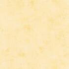 Caselio Telas 2 Uni Jaune Clair 69872245