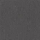 Caselio Uni Natte Gris Anthracite NAE101569582