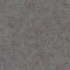 Caselio Patine Uni Gris PAI100229781