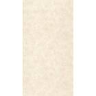 Caselio Uni Metallise Nacre Beige PAE103681238