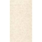 Caselio Uni Metallise Nacre Beige PAE103681238