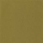 Caselio Uni Natte Vert Olive NAE101567700