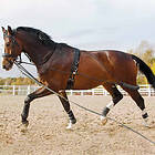 Horse Guard Longersystem HG Svart