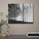 IKEA PJÄTTERYD Tavla 50x40 cm