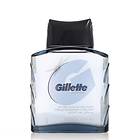 Gillette Cool Wave Crisp After Shave Splash 100ml