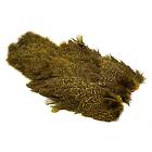 Whiting Coq De Leon Hen SH/C Speckled dyed Yellow