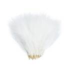 Wapsi Marabou Strung White