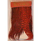 Whiting Bugger Pack GD/Red