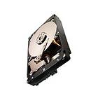 Seagate Constellation ES.2 ST32000646SS 64MB 2TB