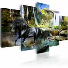 Artgeist Black horse Bild på svart häst framför ett vattenfall tryckt på duk Flera storlekar 200x100