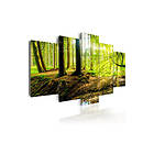 Artgeist bild Poetry of a Forest, on canvas, two sizes 100x50