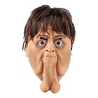 Mr Dickhead Mask One size