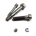 Formula Oro Puro Caliper Screws Kit Silver