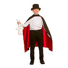 Wicked Costumes Trollkarls Cape Barn One size