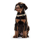 Hunter Vario Basic Alu-Strong Hundhalsband Medium brun