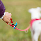 Curli Adjustable Leash Nylon Vävt Justerbart Hundkoppel Red Large