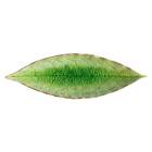 Costa Nova Riviera Bay Leaf 18x5.7cm