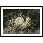 Gallerix Poster A Bouquet Of Roses By Olga Wisinger-Florian 21x30 5119-21x30