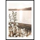 Gallerix Poster Autumn Meadow 70x100 4707-70x100