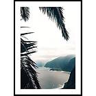 Gallerix Poster Between Palm Leaves 50x70 4663-50x70