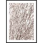 Gallerix Poster Boho Botanical 70x100 5295-70x100